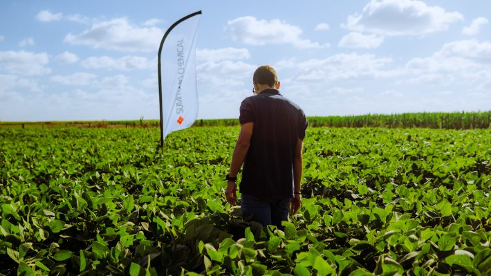 Sumitomo Chemical lanza Pladius Xpert®, un nuevo fungicida para soja Sumitomo Chemical lanza Pladius Xpert®, un nuevo fungicida para soja